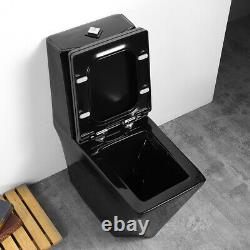 Black Modern One Piece Toilet with Dual Flush (Maccione) Gloss Black