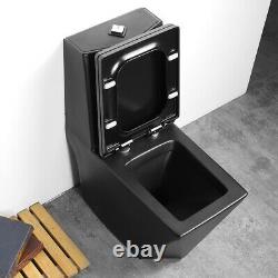 Black Modern One Piece Toilet with Dual Flush (Maccione) Matte Black