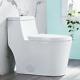 Deervalley Modern Dual-flush Elongated One-piece Toilet With Soft Closing Seat