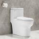 Deervalley Modern One Piece Toilet Dual Flush Elongated With Soft Closing Seat