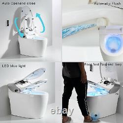 Elongated One Piece Smart Toilet 300MM Hole Distance With Advance Bidet And Seat