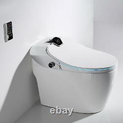 Elongated One Piece Smart Toilet 300MM Hole Distance With Advance Bidet And Seat