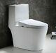 Hometure Dual Flush Elongated One Piece Toilet Comfort Height Soft Closing