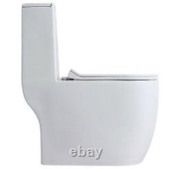Hometure Dual Flush Elongated One Piece Toilet with Soft Closing Seat Modern