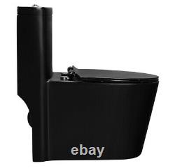 Matte Black Modern One Piece Toilet with Dual Flush (Savaro)
