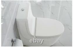 Modern Bathroom Toilet One Piece Toilet Dual Flush Toilet Caspian 27.6