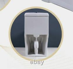 Modern One Piece Toilet With Dual Flush System And Soft Closing Seat