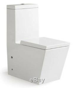 One Piece Toilet Modern Bathroom Toilet Dual Flush Toilet Americo 26