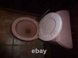 Pink toilet includes bowl, tank, flapper