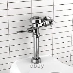 Regal 110 Exposed Manual Flushometer Manual Flush Valve 3.5 GPF Water Closet