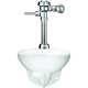 Sloan Wets2050.1041 Flushometer Toilet, 1.28 Gpf, Flush Valve, Wall Mount