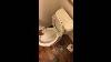 Toilet Won T Flush Water Stays In Bowl Easy Fix Solution Siphon Jets Cleanout