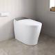 Uncle Brown Luxury Smart Toilet With Bidet Built In, Bidet Toilet With Heated Se