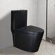 Winzo Wz5040b Black One Piece Toilet With Dual Flush Elongated Comfortable Bowl