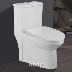 WinZo WZ5059 Dual Flush One Piece Toilet Elongated Seat With Standard Height