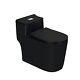 Winzo Wz5080b Matte Black Toilet One Piece Dual Flush Comfortable Chair Height