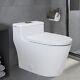 Winzo Wz5081t Elongated One Piece Toilet Dual Flush Modern Bathroomwhite