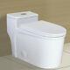 Winzo Wz5082 Modern Low Profile One Piece Toilet Single 1.28 Gallons Flush White